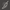 scrolling text